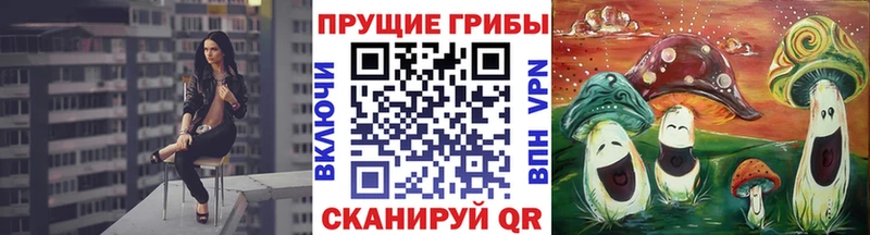 Галлюциногенные грибы Cubensis  где купить наркотик  Луховицы 